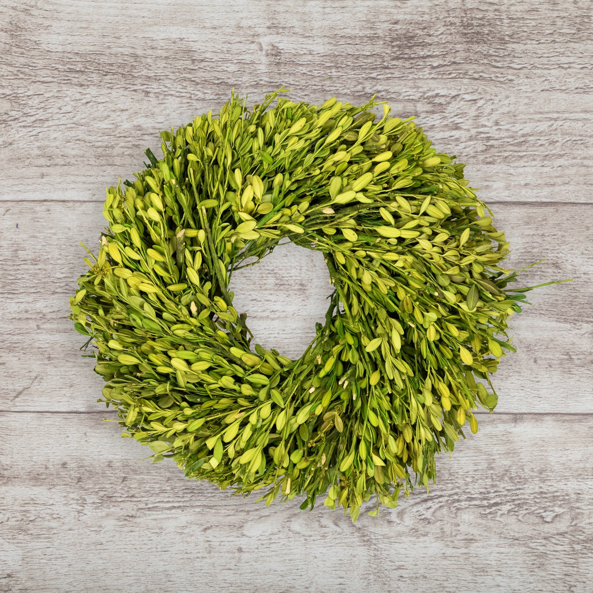  Northlight Green Foliage Artificial Spring Wreath - 11