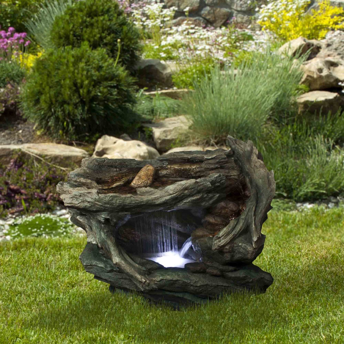  Northlight 31