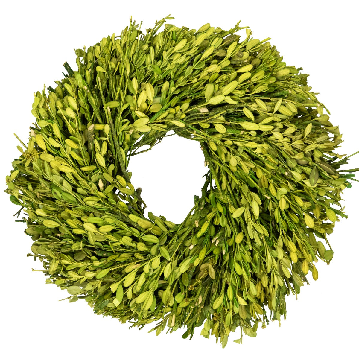  Northlight Green Foliage Artificial Spring Wreath - 11