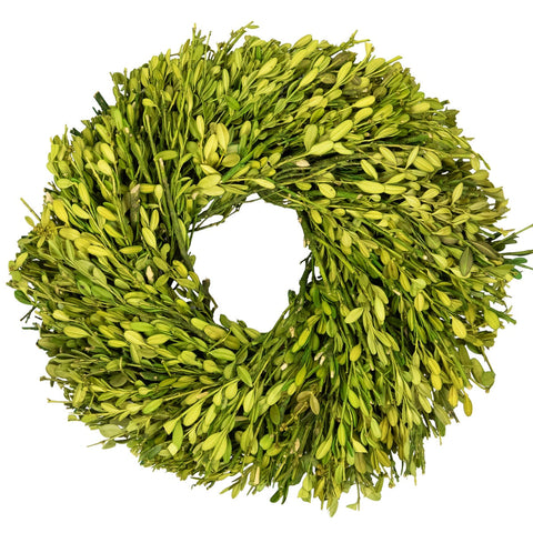 Green Foliage Artificial Spring Wreath - 11" - Unlit