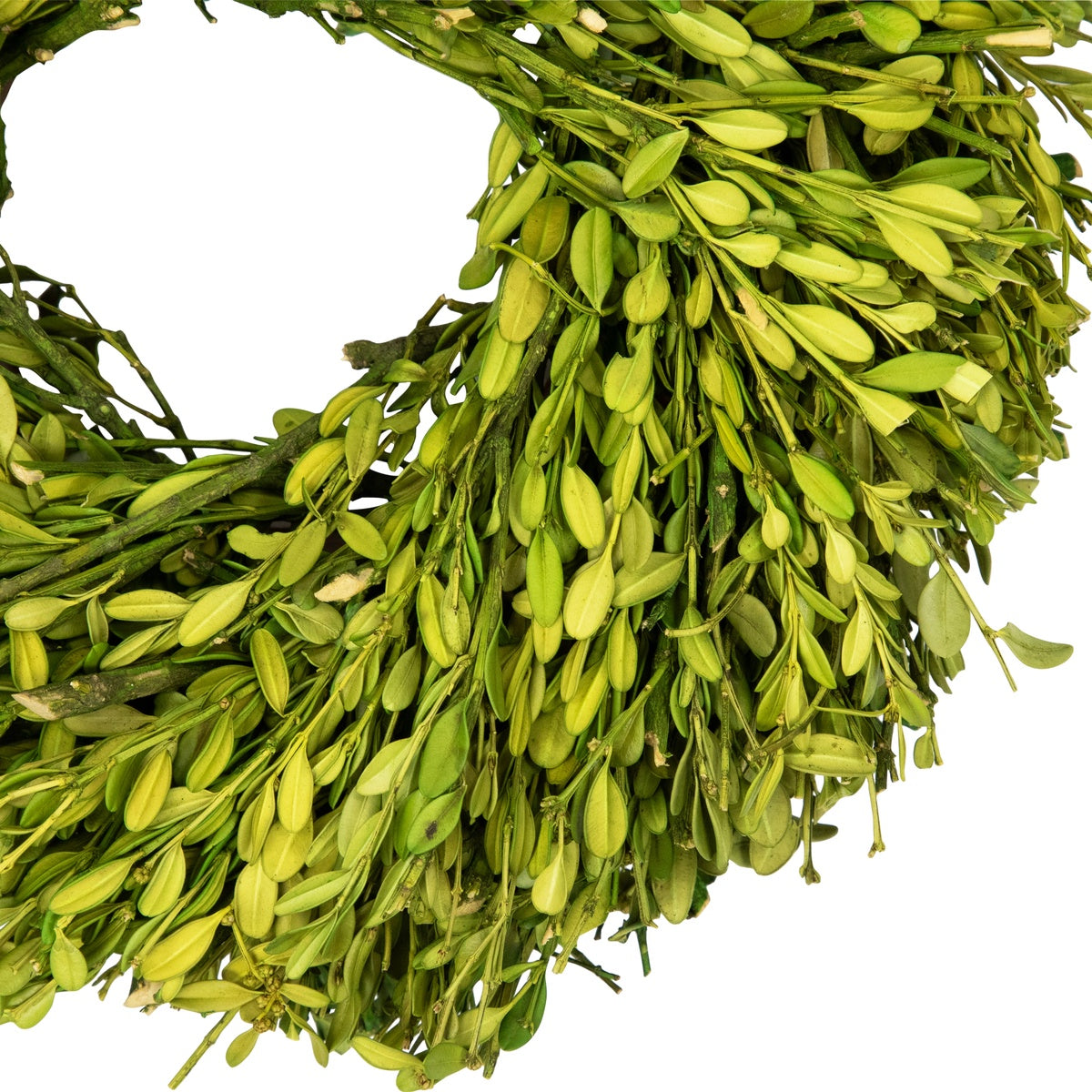  Northlight Green Foliage Artificial Spring Wreath - 11